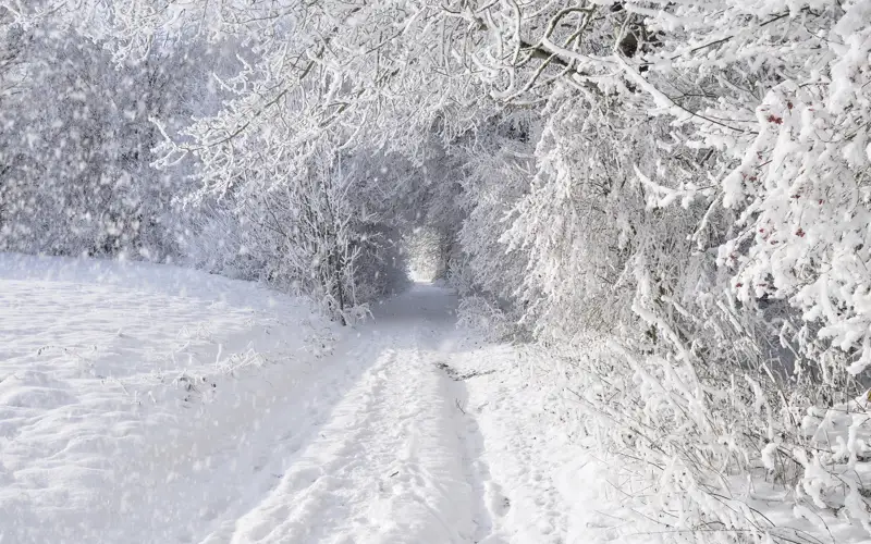 Мереке күндеріне арналған ауа райы болжамы жарияланды