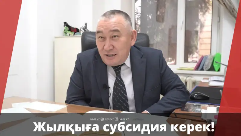 Қайрат Исхан: Қазақ жылқысының тұқымдық ерекшеліктері жойылып барады