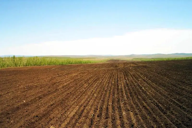 1 млн гектар жер мемлекетке қайтарылды