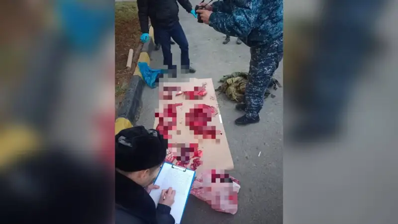 ШҚО-да браконьерлер мемлекетке 15 млн теңгеден астам шығын келтірген 