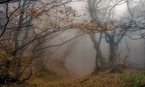 Алдағы күндері ауа райы қандай болады?