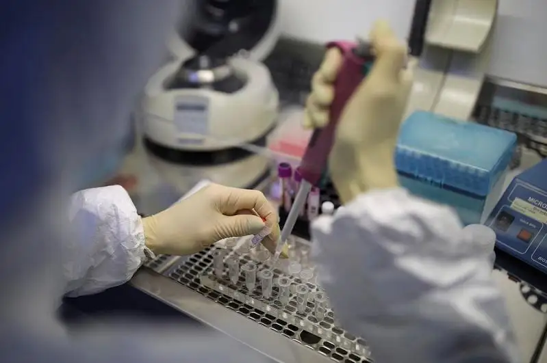 Әлемде вирус жұқтырғандар қатары 20 пайызға өсті