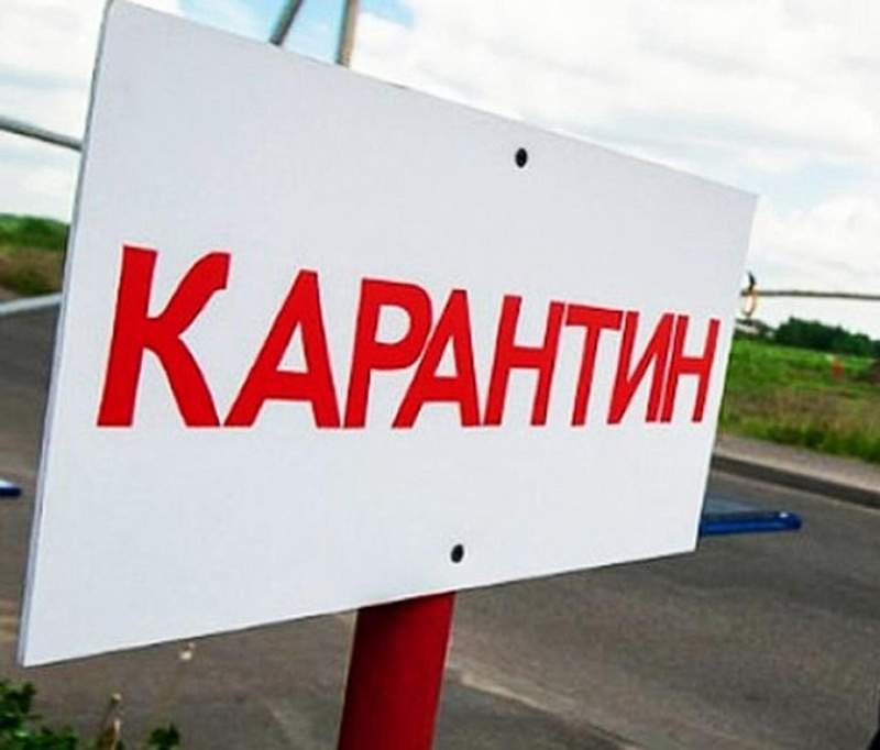 СҚО-да құс тұмауына байланысты 10 елдімекен карантинге жабылды  