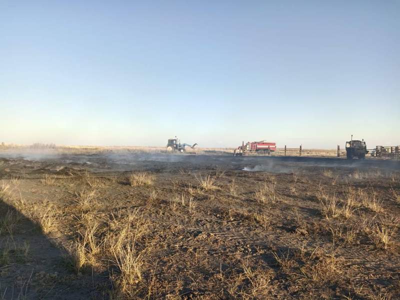 Абай облысында сіріңкемен ойнаған балалар 82 тонна шөпті өртеп жіберді