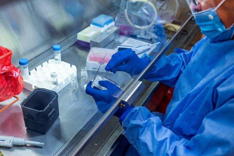 Қордайдағы ғылыми институтта коронавирусқа қарсы вакцина дайындалып жатыр ма?