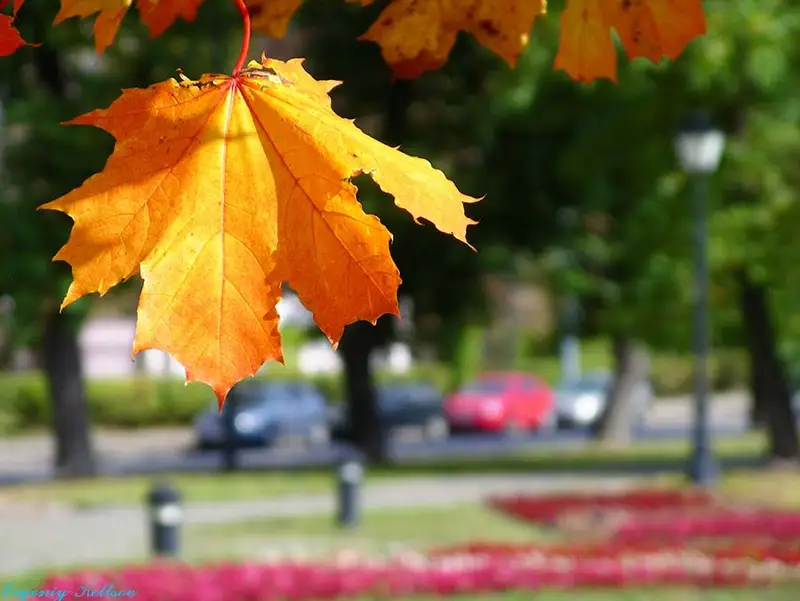 Алдағы уақытта күн жылиды