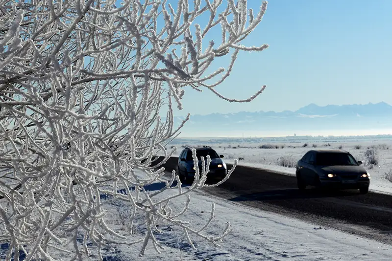 Шығыс Қазақстанда сабақтар тоқтатылды