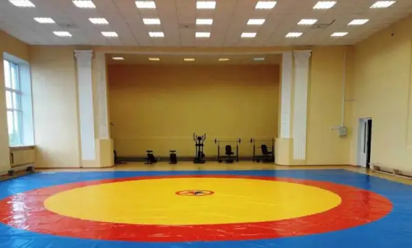 Қазақстан құрамасының 15 балуаны коронавирус жұқтырды 