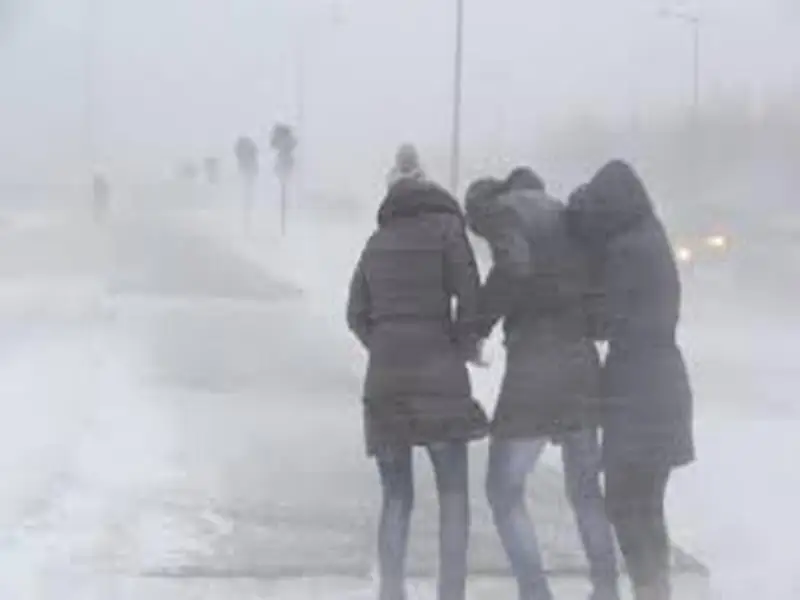 Бірнеше өңірде боран соғады 