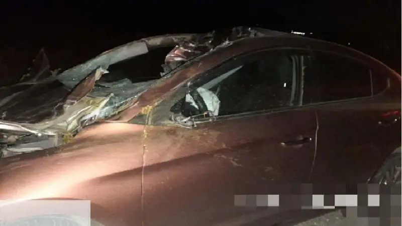 Түркістан облысында жылқыны қаққан көліктегі екі адам ауруханаға түсті