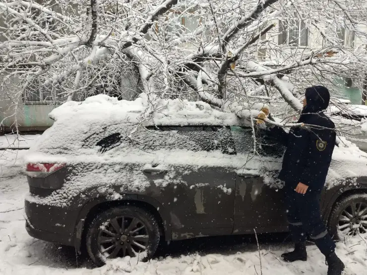 Алматыда 50 көлікті сынған бұтақтар басып қалды