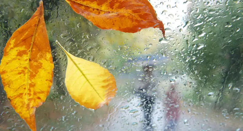 Қазгидромет: Екі облыстың кей жерлерінде 1-3 градус үсік жүреді