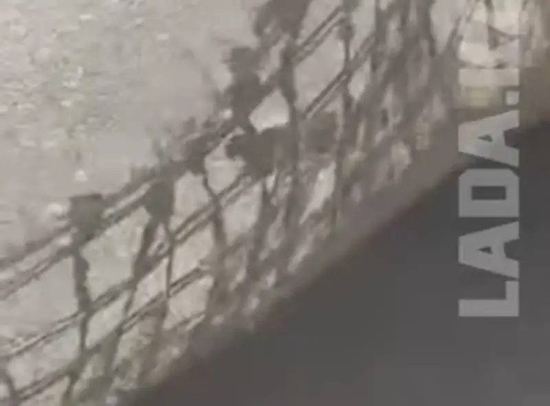 Маңғыстау облысында жолға асфальт кілем төселгені туралы видео тарады