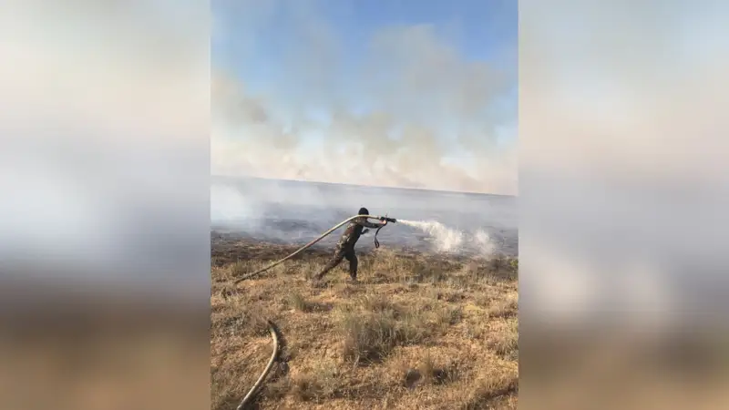 Қызылқоғада дала өрті толастар емес