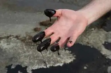 Қарағанды облысында үш тонна мұнай төгілді 