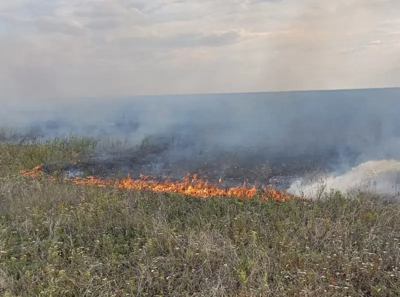 Алматы облысы Талғар ауданында құрғақ шөп өртенді