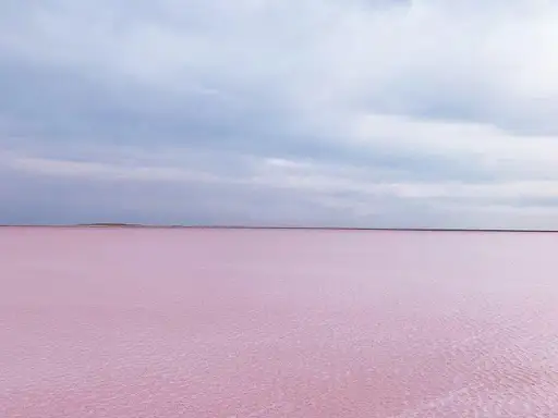 Көбейтұз ерекше қорғауға алынуы мүмкін