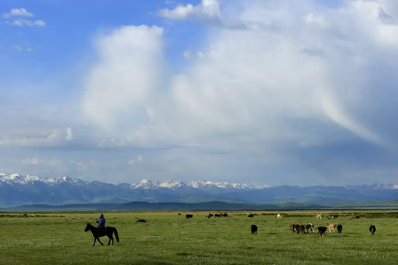 Адамның табиғатсыз күні жоқ (фоторепортаж)