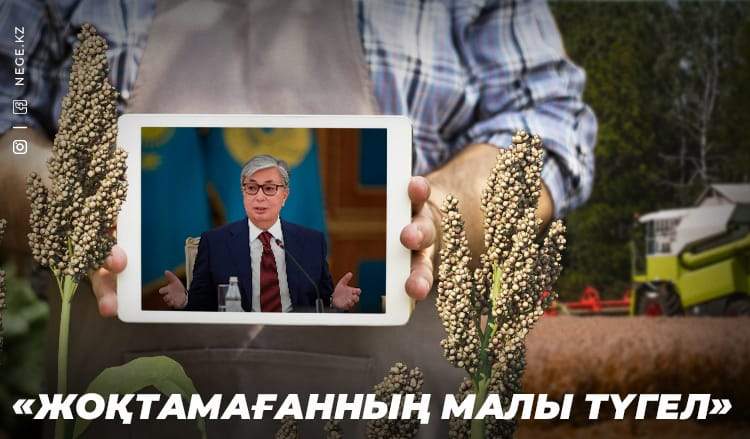 МЕЗІ ЕТКЕН МЕНШІК МӘСЕЛЕСІ биылғы жолдауда айтылды