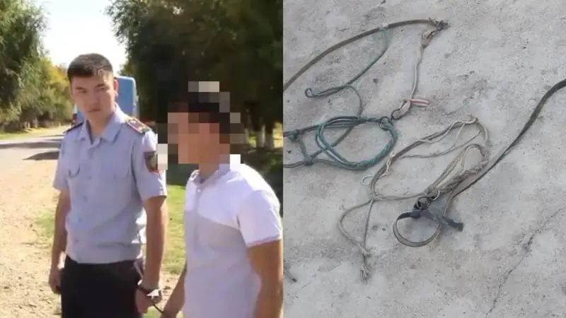 Түркістан облысында мал ұрлауды кәсіп қылған екі ер адам ұсталды