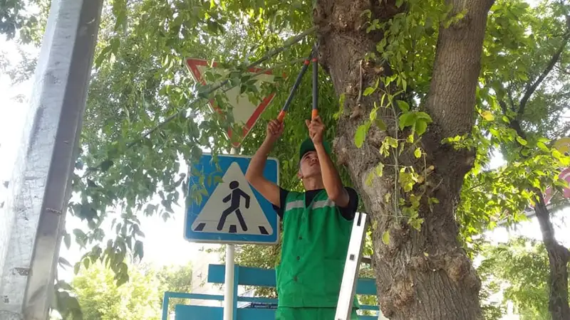 Әл-Фараби ауданында ағаштарды кесу жұмыстары жүргізілуде