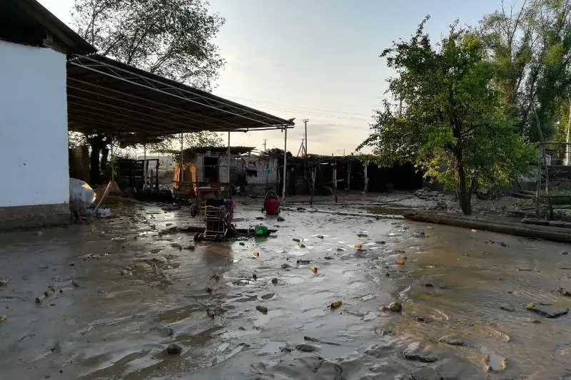 Шымкентте 60 тұрғын үй ауласын су басып қалды