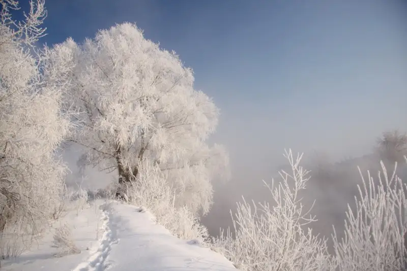 Мейрам күндері бес облыста қатты аяз болады