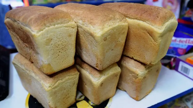 Нан қымбаттағалы жатыр