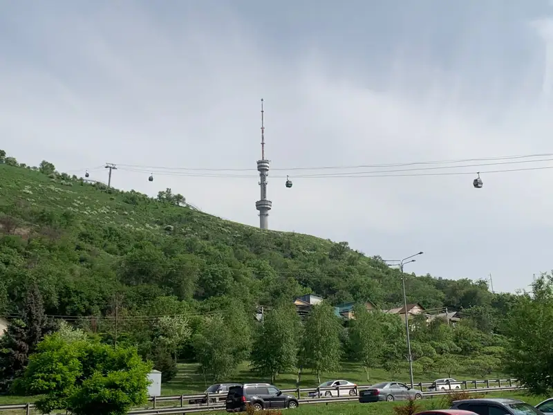 «Көк Төбе» телемұнарасын басып алғысы келген күдікті ұсталды