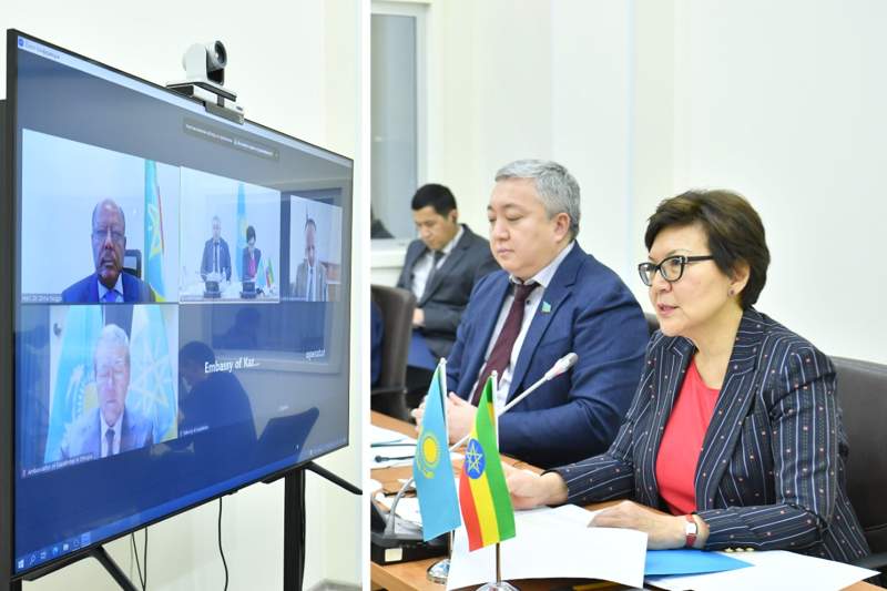 Қазақстан-Эфиопия депутаттары әріптестікке ерекше мән берді  