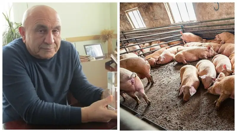 Шошқа фермасының басшысы уақыт сұрап отыр 