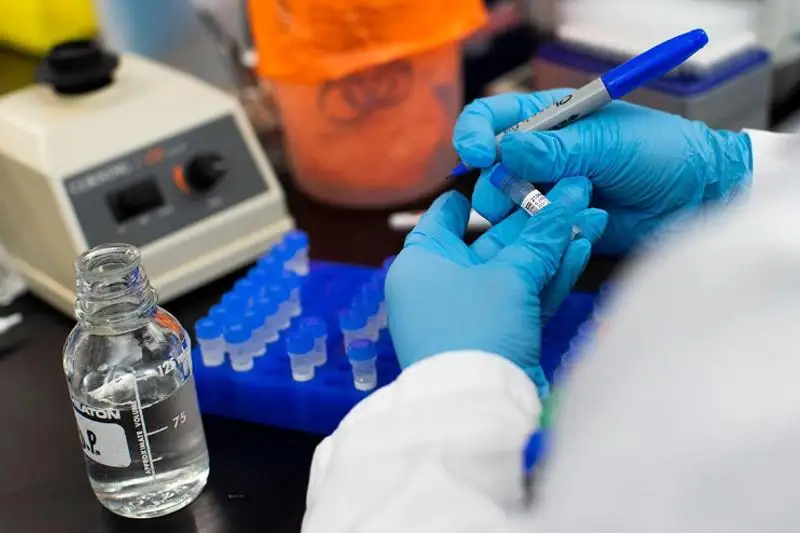 Жылқы коронавирусқа ем бола ма?