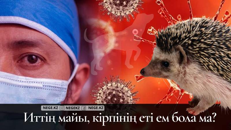Індет жұртқа иттің майын ішкізіп, кірпінің етін жегізіп жатыр...