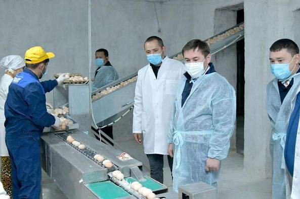 «ТАССАЙ ҚҰС» ЖШС ӨНІМДІЛІГІН АРТТЫРУДА