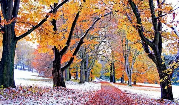 Демалыс күндеріне арналған ауа райы болжамы