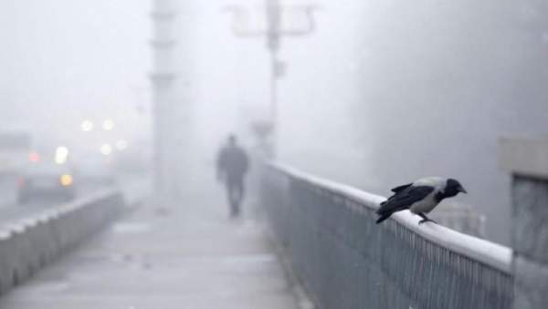 Ауа райы болжамы: үш өңірде ескерту жарияланды