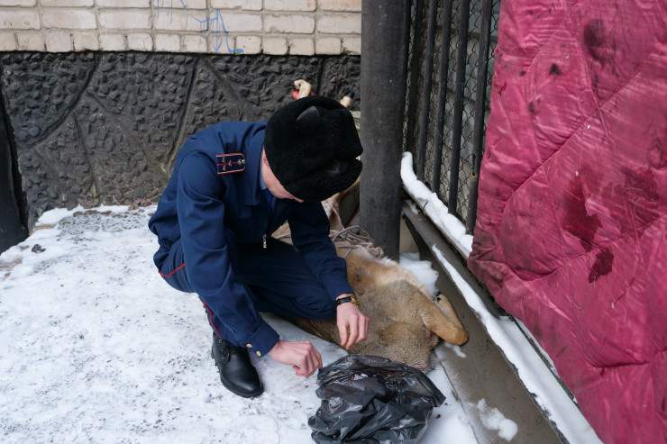 Заңсыз аң аулағандар 3 жылға сотталады