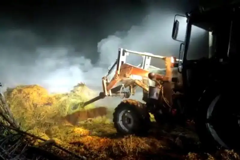 800 тонна пішен өртенді