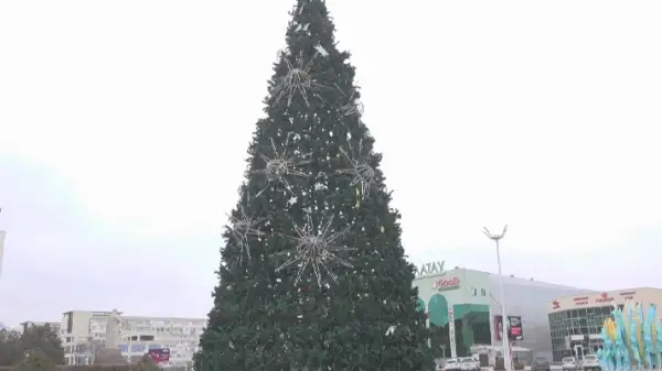 Ақтауда шыршаны безендіруге бюджет қаржысы жұмсалды ма?