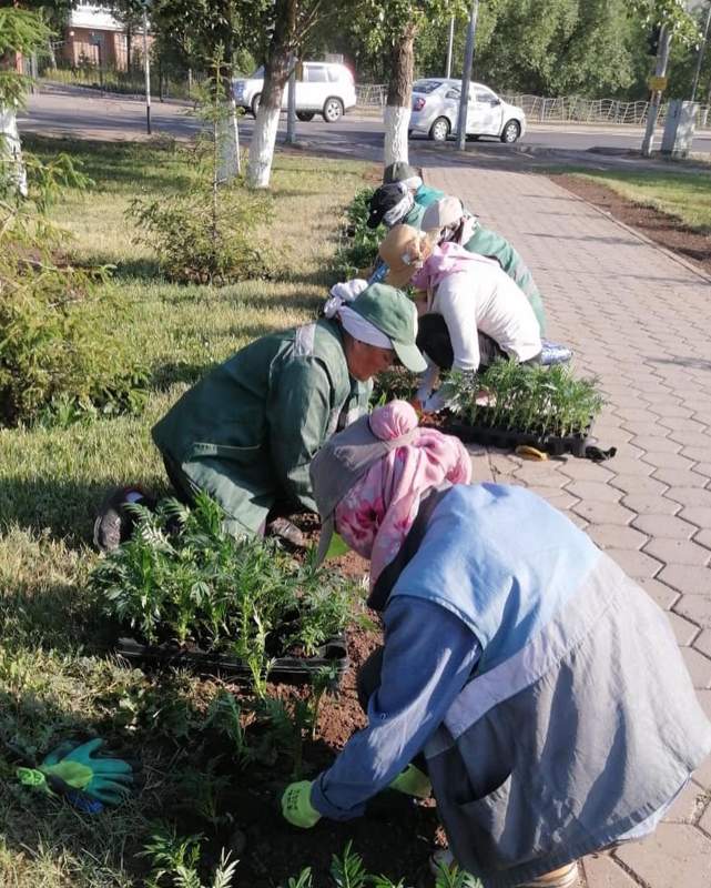 Астананың Байқоңыр ауданында көгалдандыру аясында бірқатар жұмыстар атқарылып жатыр
