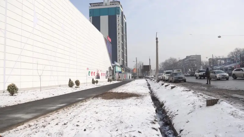 Sulpak директоры сотта сөз сөйледі