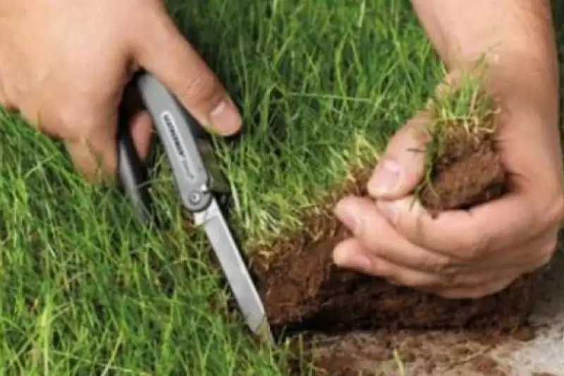 Павлодарда жер телімдерін ресімдеуде заң бұзған шенеуніктер жазаланды 