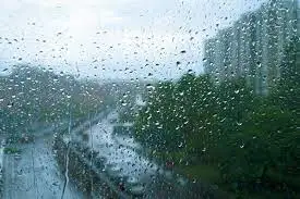 Бүгін еліміздің басым бөлігінде жаңбыр мен қар жауады