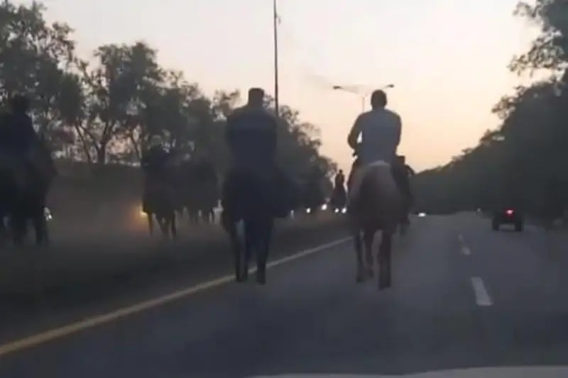 Көкпар тартқан 8 адам жазаланды 