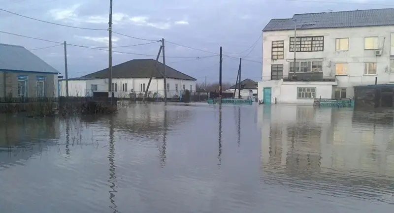 Мақтааралда балық аулауға тыйым салынды