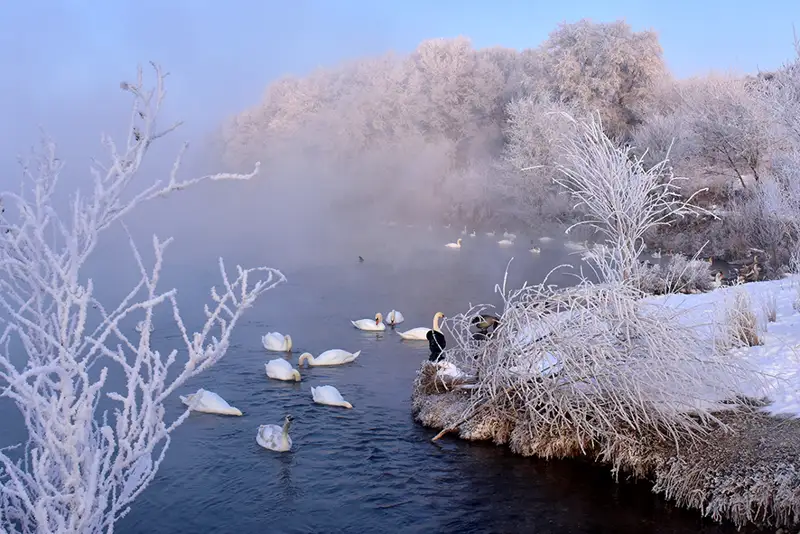 Демалыс күндеріне арналған ауа райы