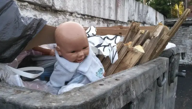 Ақтөбе облысында қоқыстан шақалақтың денесі табылды