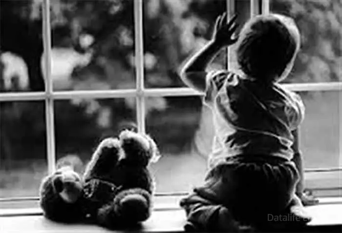 Жетімдер саны 70 пайызға азайған