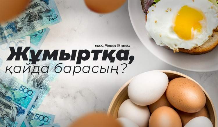 Тауықтар көтерілісі. НЕГЕ жұмыртқа бағасы үкіметтің бар еңбегін зая кетірмек?