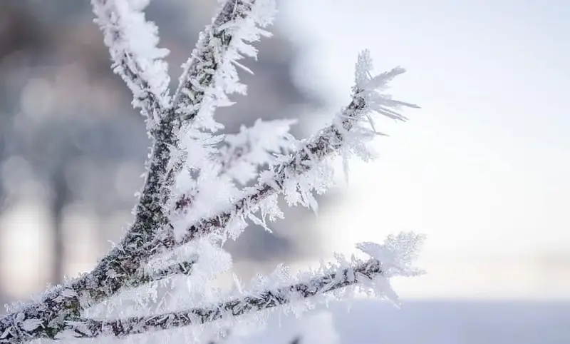 Синоптиктер ауа райына байланысты мәлімдеме жасады